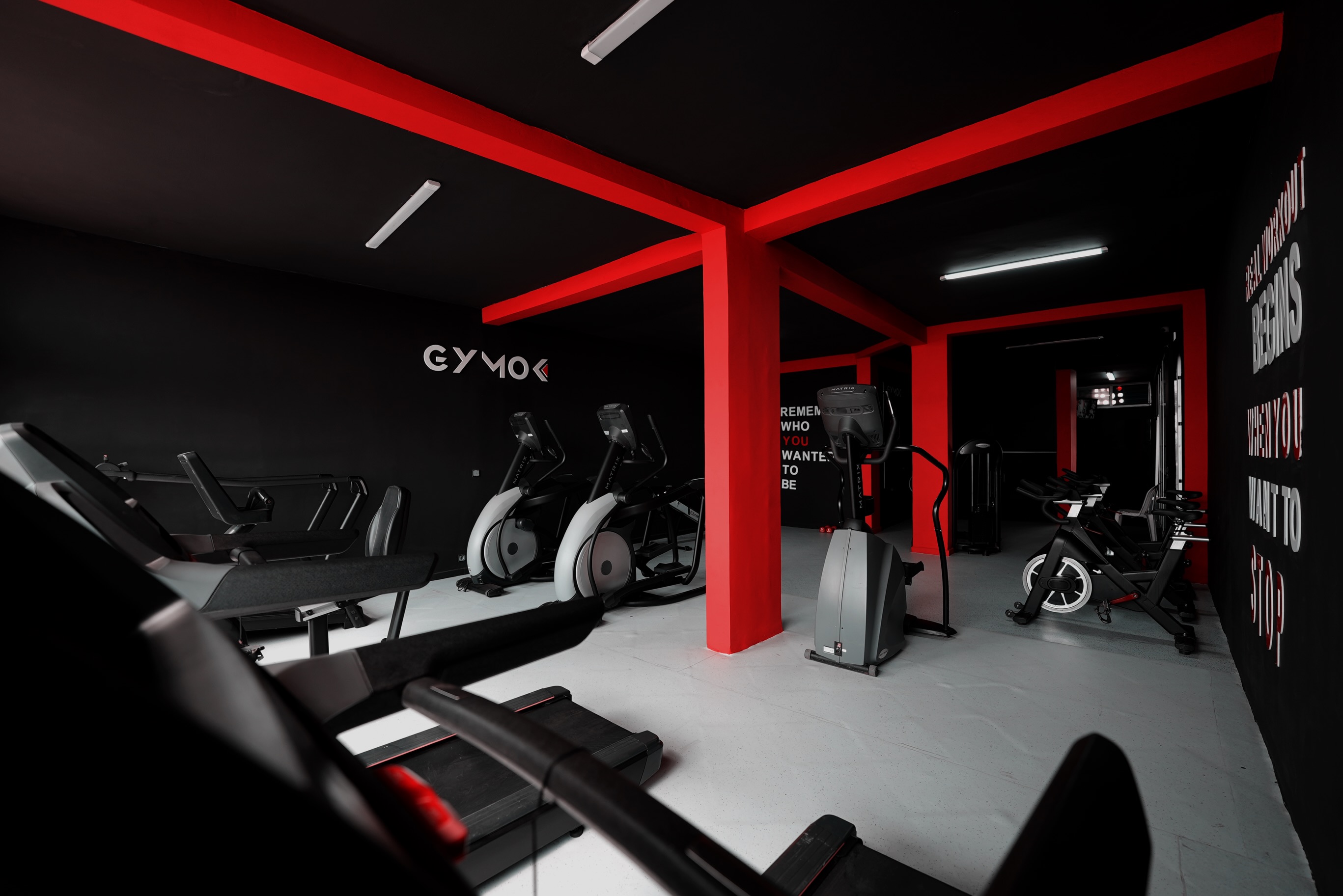 Free Weights & Dumbbells Area